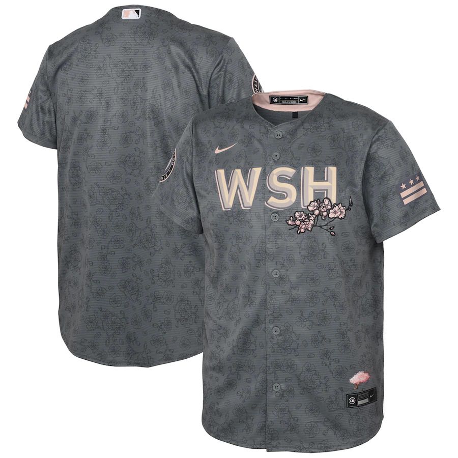 Custom Men Washington Nationals Blank Nike Gray 2022 City Connect Replica MLB Jersey->customized mlb jersey->Custom Jersey